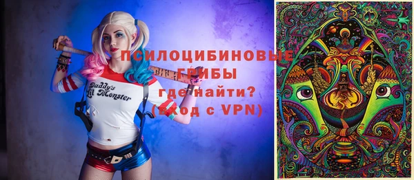 индика Алексеевка
