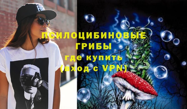 крисы Алексин